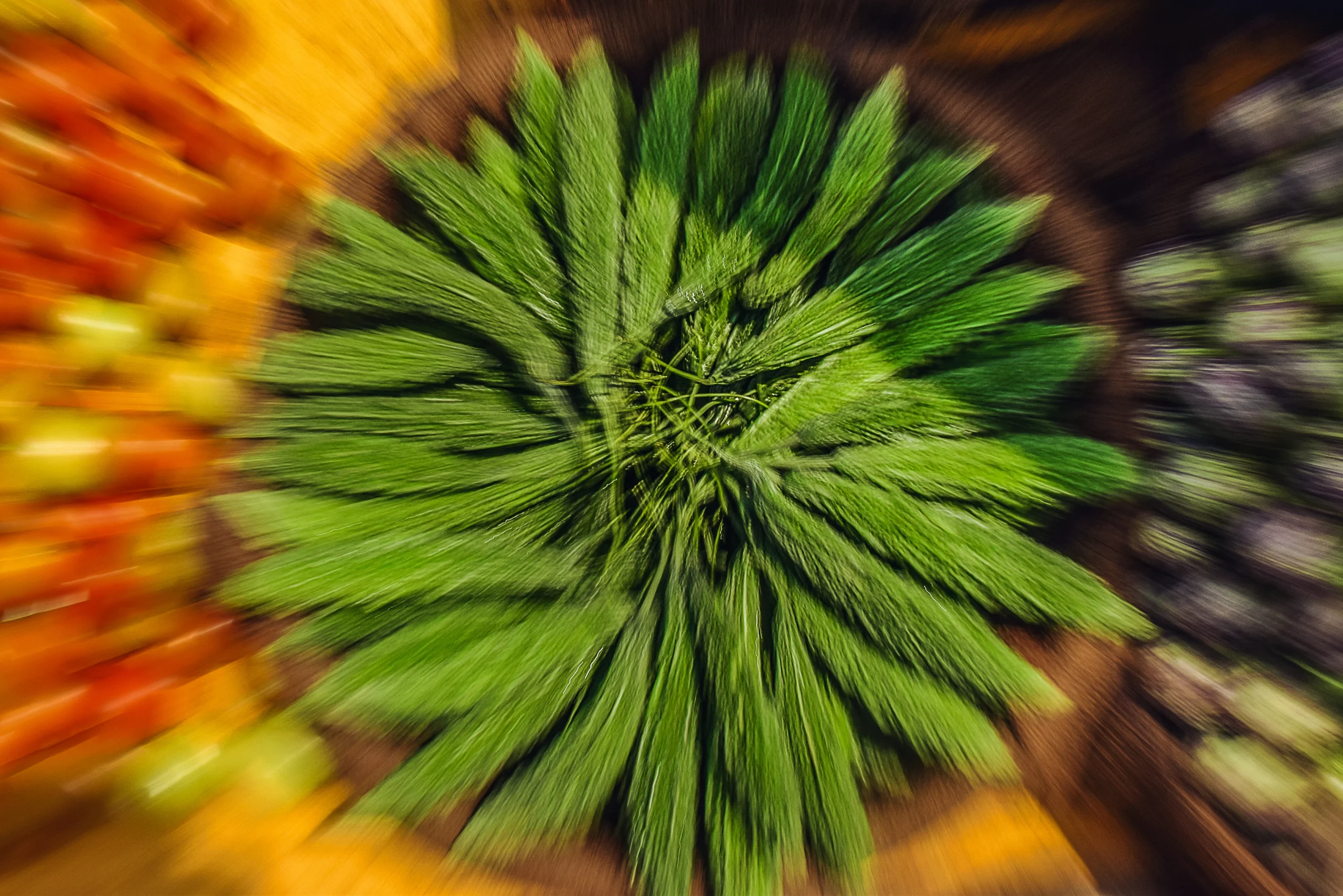 photography abstract 10