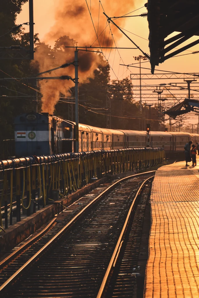 muchroom photography travel 01