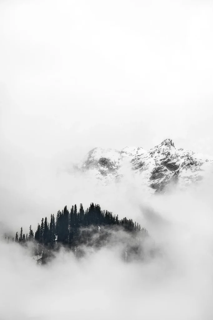 DSC_0235_01 (2)