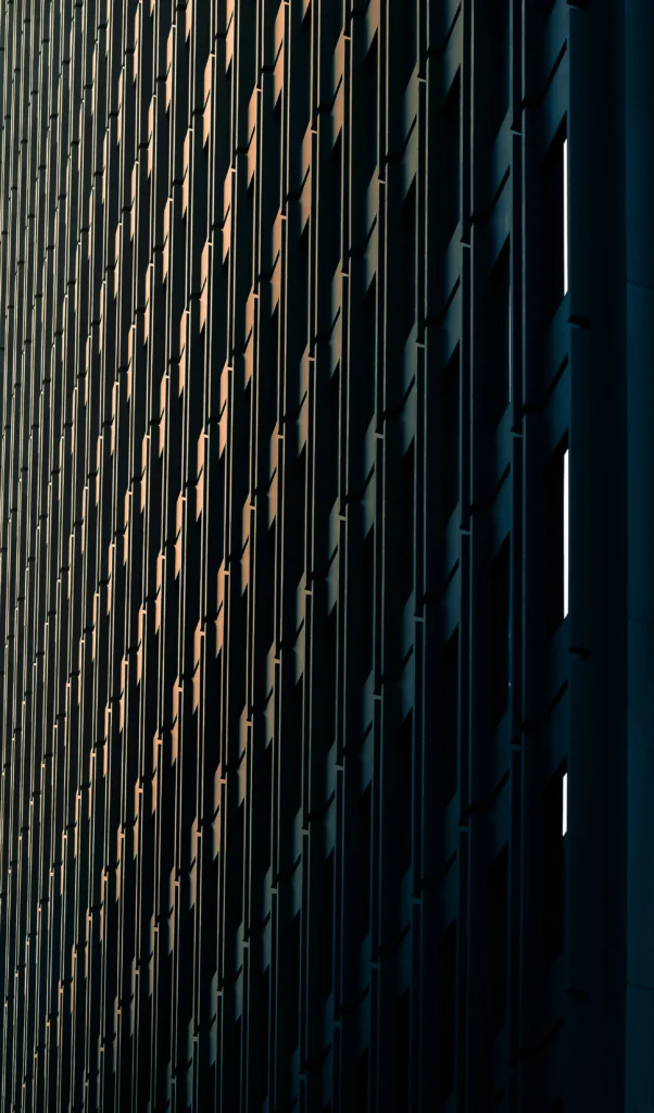 DSC_0241_01