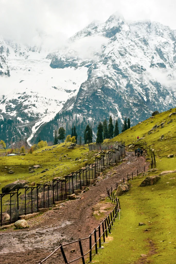 DSC_0624_01