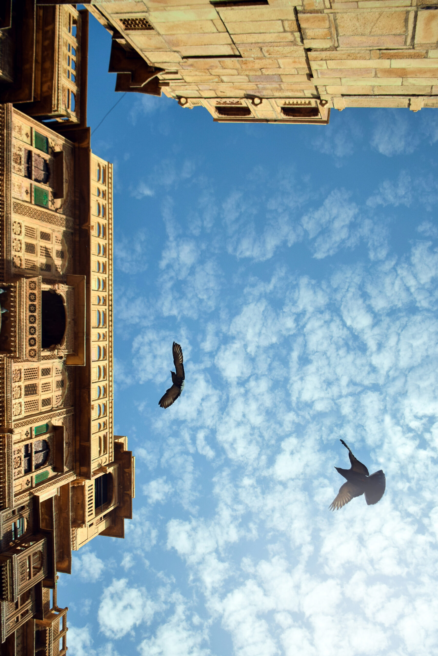 muchroom photography architectural 05
