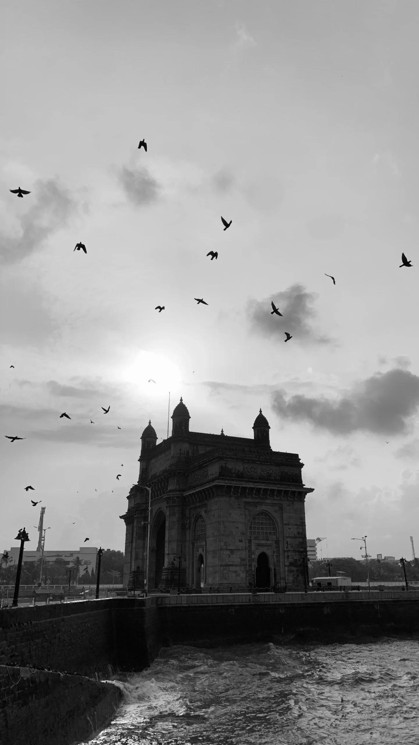 IMG_E6359