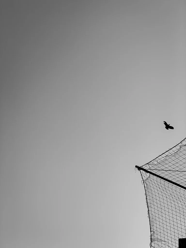 photography abstract 03